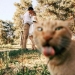 13 Street Photographs That Managed To Capture The Beauty Of Cats, Featured On This Instagram Page 13 Street Photographs That Managed To Capture The Beauty Of Cats, Featured On This Instagram Page
