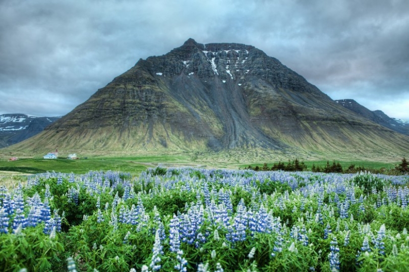 13 Surprising Facts About Iceland You Didn&#39;t Know About