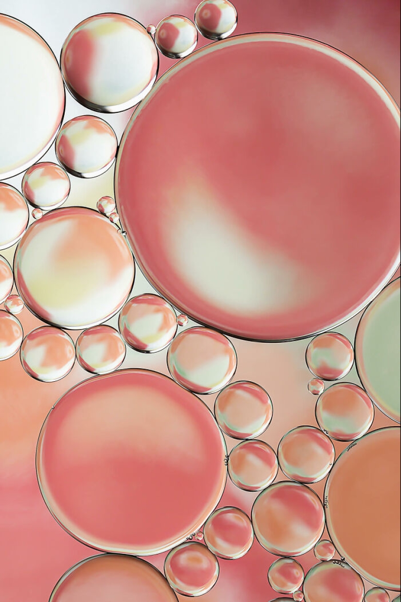 13 Talented Photographers Who Won The AAP Magazine Awards: "Shapes" (Part2)