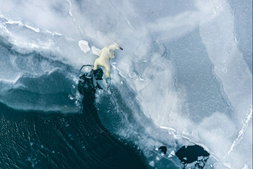 13 Winning Shots From The 2023 Ocean Photography Awards