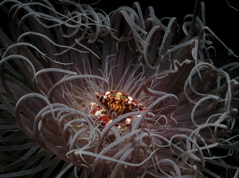 13 Winning Shots From The 2023 Ocean Photography Awards