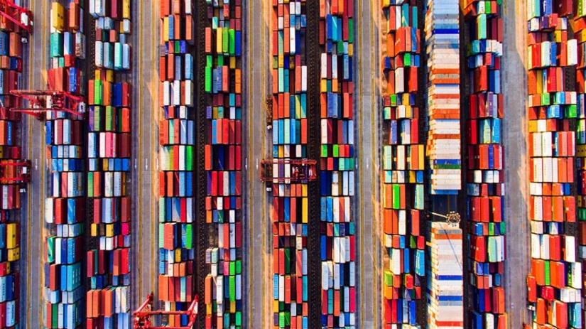 14 best works from the National Geographic children's photo contest