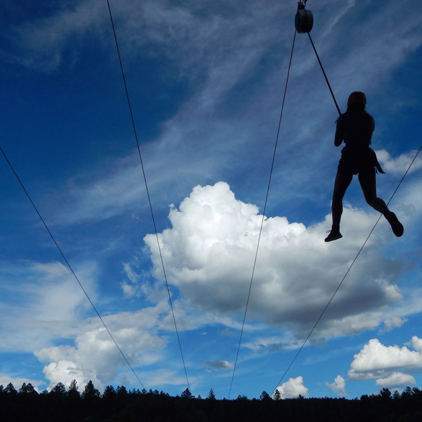 14 best works from the National Geographic children's photo contest