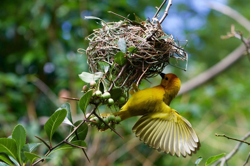 14 best works from the National Geographic children's photo contest
