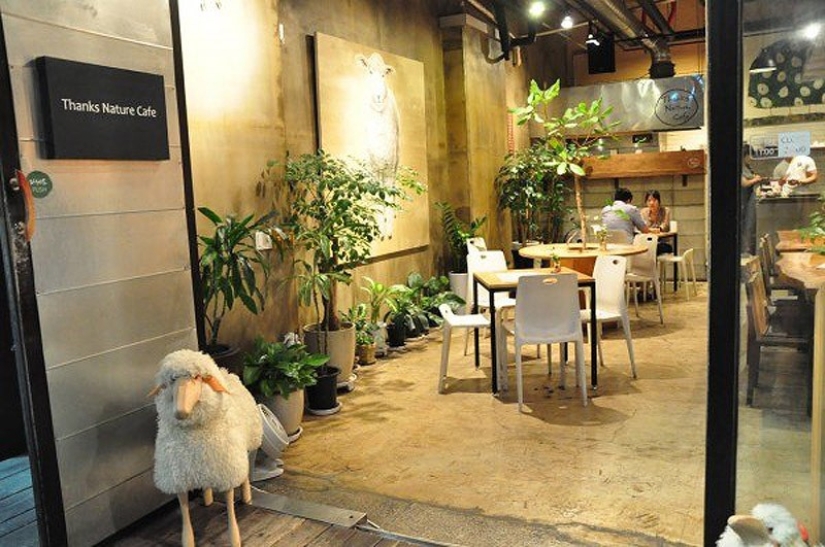 14 cafés temáticos únicos en Seúl