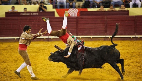 14 Curious Facts About Portuguese Bullfighting