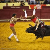 14 datos curiosos sobre la tauromaquia portuguesa