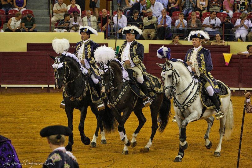 14 datos curiosos sobre la tauromaquia portuguesa