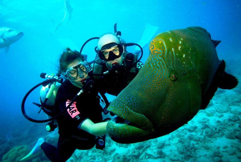 14 lugares para visitar en 2014