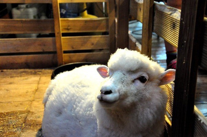 14 unique themed cafes in Seoul