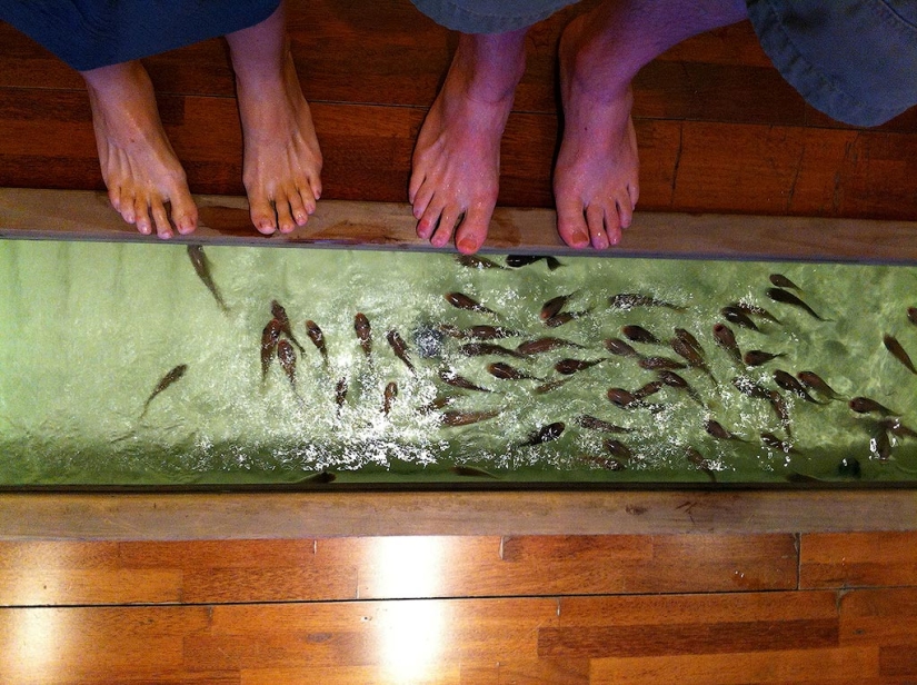 14 unique themed cafes in Seoul