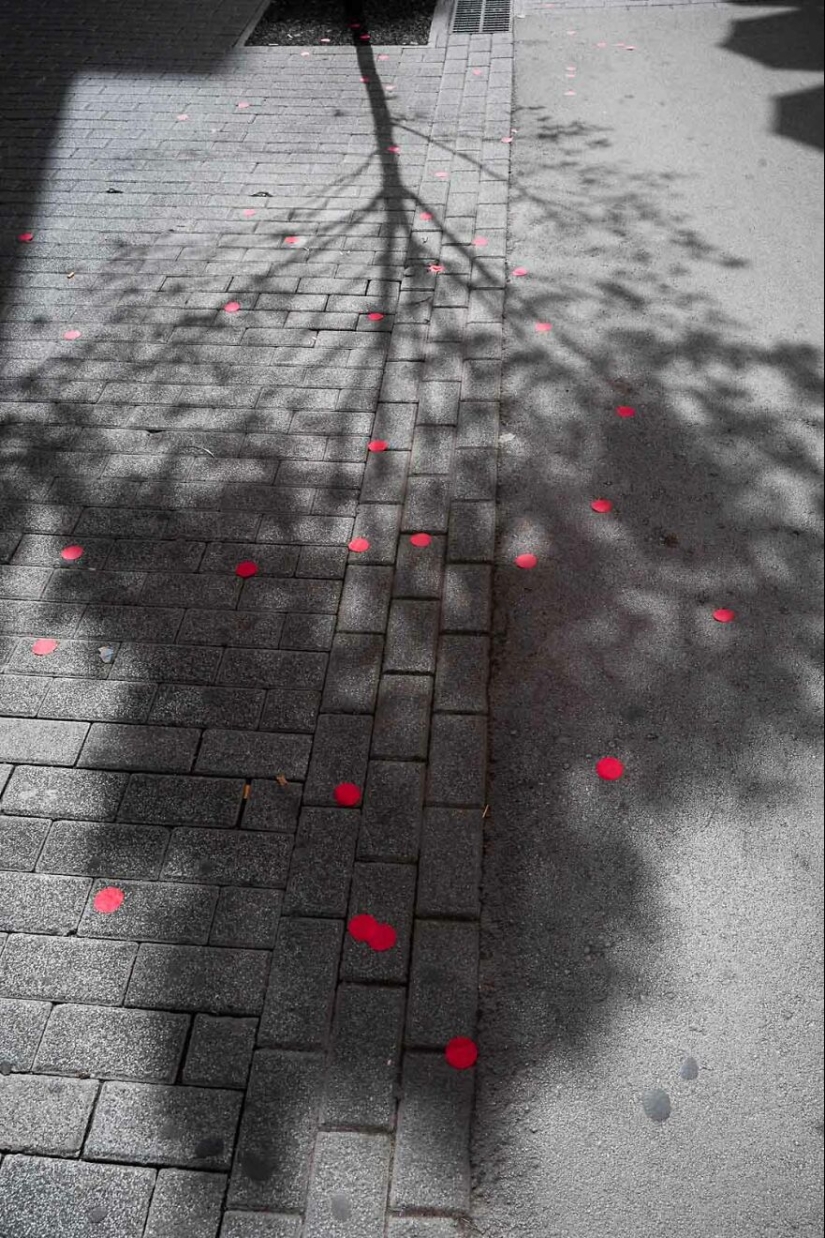 15 Best Coincidences Captured By This Street Photographer