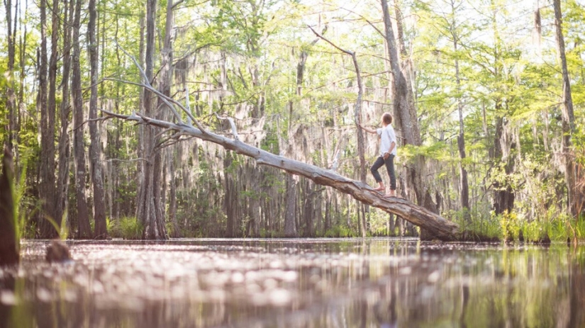 15 best shots of 2014 from the extreme Forest Woodward