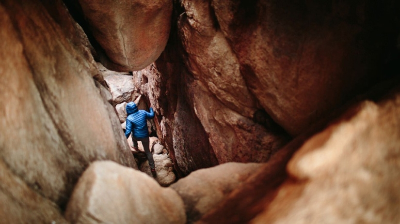 15 best shots of 2014 from the extreme Forest Woodward