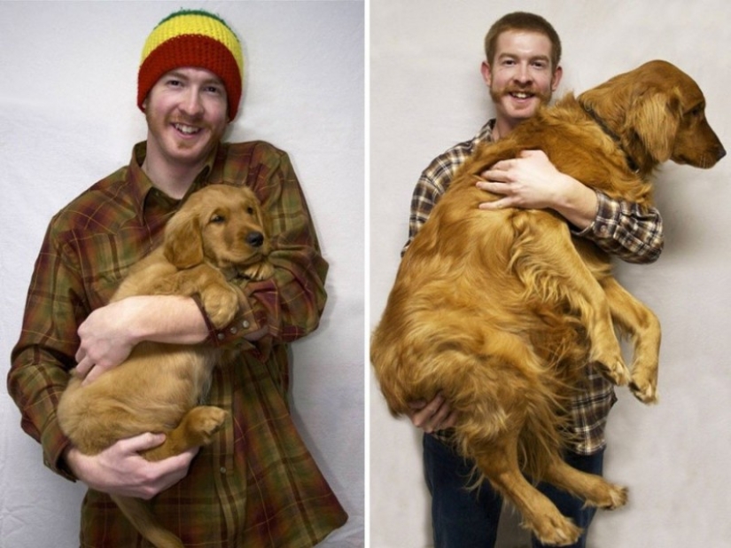 15 cachorros que crecieron demasiado rápido