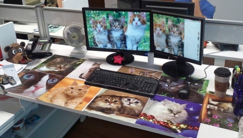 15 chistes geniales para el 1 de abril 15 chistes geniales para el 1 de abril