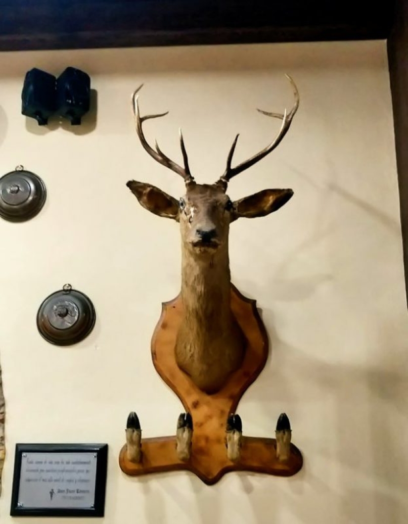 15 cosas cuyos autores saben trabajar con las manos, pero no son amigos con la cabeza 15 cosas cuyos autores saben trabajar con las manos, pero no son amigos con la cabeza