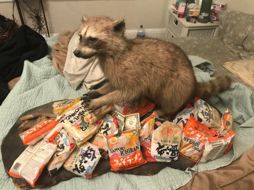 15 cosas cuyos autores saben trabajar con las manos, pero no son amigos con la cabeza 15 cosas cuyos autores saben trabajar con las manos, pero no son amigos con la cabeza