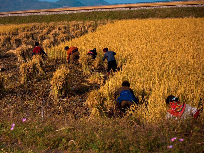 15 Datos increíbles sobre Corea del Norte