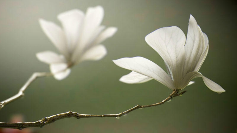 15 Digital Images That Surprisingly Look Like Photos 15 Digital Images That Surprisingly Look Like Photos