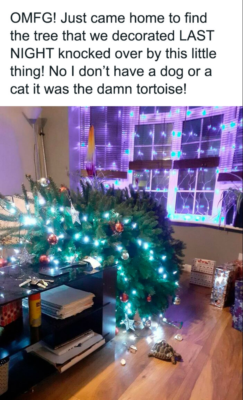 15 fotografías de personas que tuvieron un día peor que tú, compartidas en esta página de Facebook