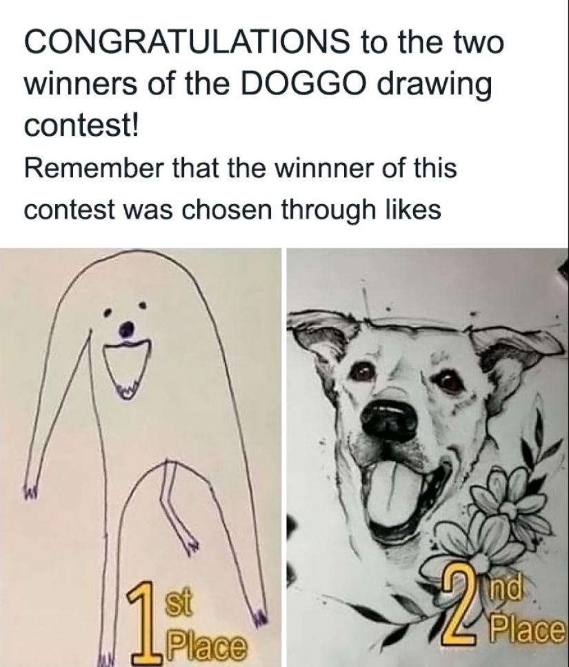 15 fotografías de personas que tuvieron un día peor que tú, compartidas en esta página de Facebook