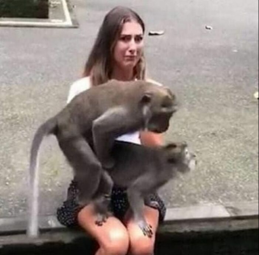 15 fotografías de personas que tuvieron un día peor que tú, compartidas en esta página de Facebook