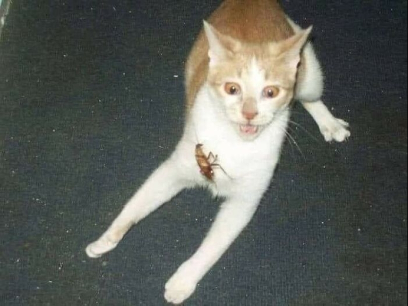 15 fotografías de personas que tuvieron un día peor que tú, compartidas en esta página de Facebook