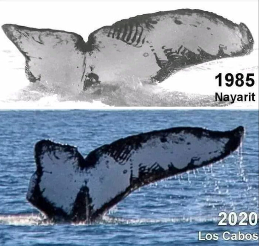 15 fotos de 'antes y ahora' que muestran cómo han cambiado los tiempos, compartidas en 'Fotos antiguas de la vida real'