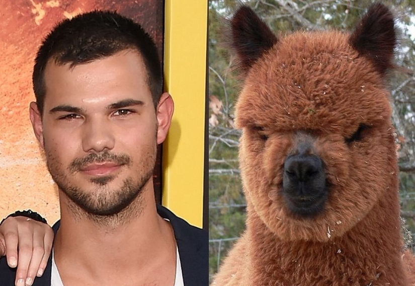 15 fotos de celebridades y sus contrapartes animales