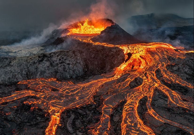 15 Images That Captured Nature’s Beauty And Diversity And Were Selected As Best By NBP Awards 2023