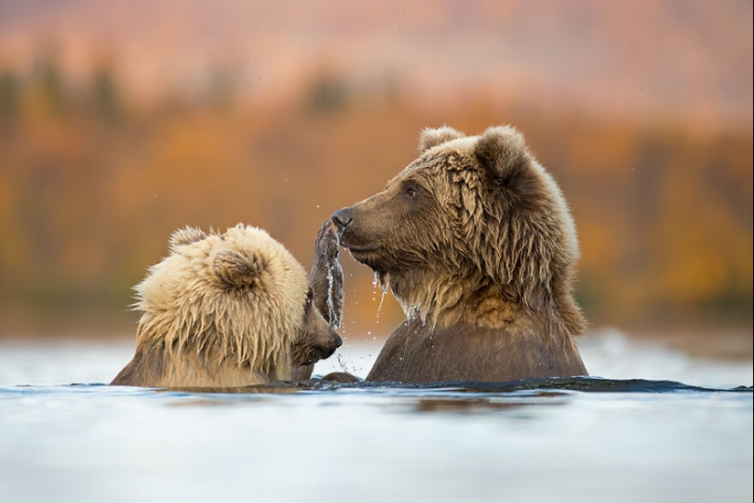 15 Images That Captured Nature’s Beauty And Diversity And Were Selected As Best By NBP Awards 2023