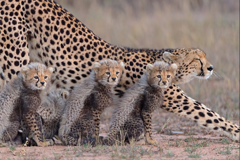 15 Images That Captured Nature’s Beauty And Diversity And Were Selected As Best By NBP Awards 2023