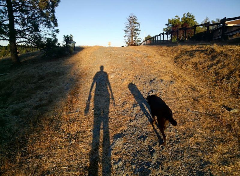 15 imágenes que demuestran que Google Glass cambiará el futuro de la fotografía