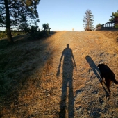 15 imágenes que demuestran que Google Glass cambiará el futuro de la fotografía