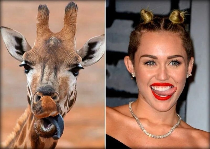 15 photos of celebrities and their animal counterparts