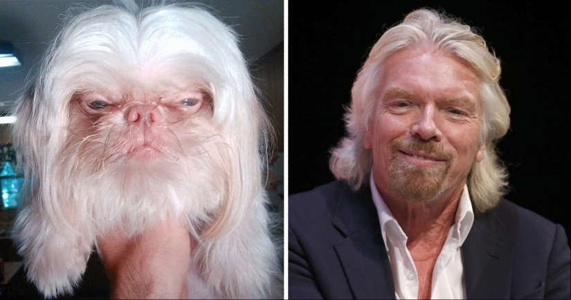 15 photos of celebrities and their animal counterparts