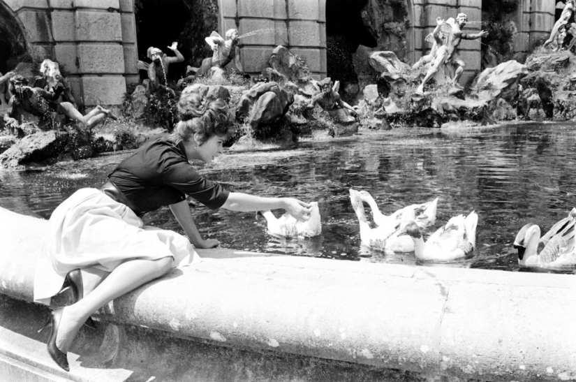 15 photos of Sophia Loren, not intended for publication