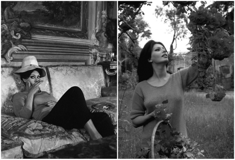 15 photos of Sophia Loren, not intended for publication