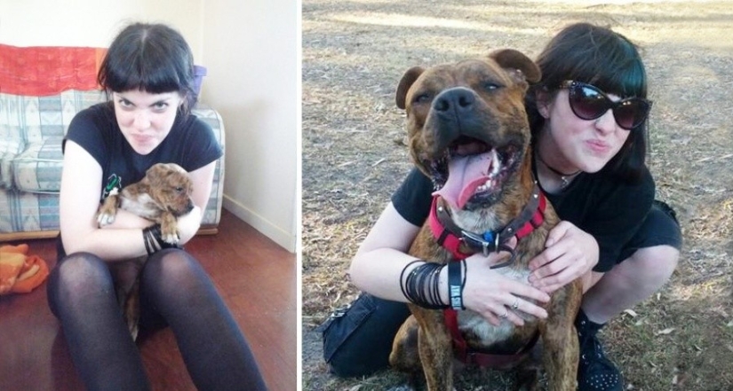 15 puppies who grew up too fast