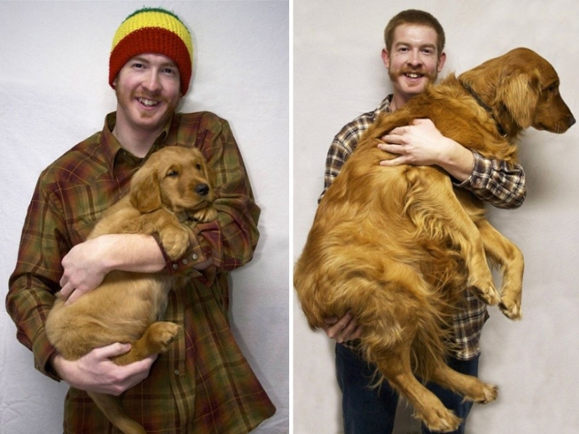 15 puppies who grew up too fast