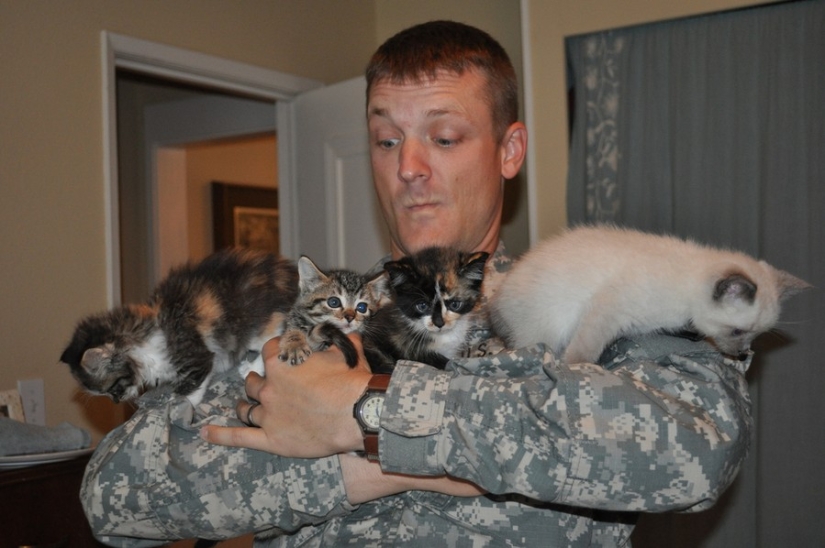 15 soldiers with their ... cats
