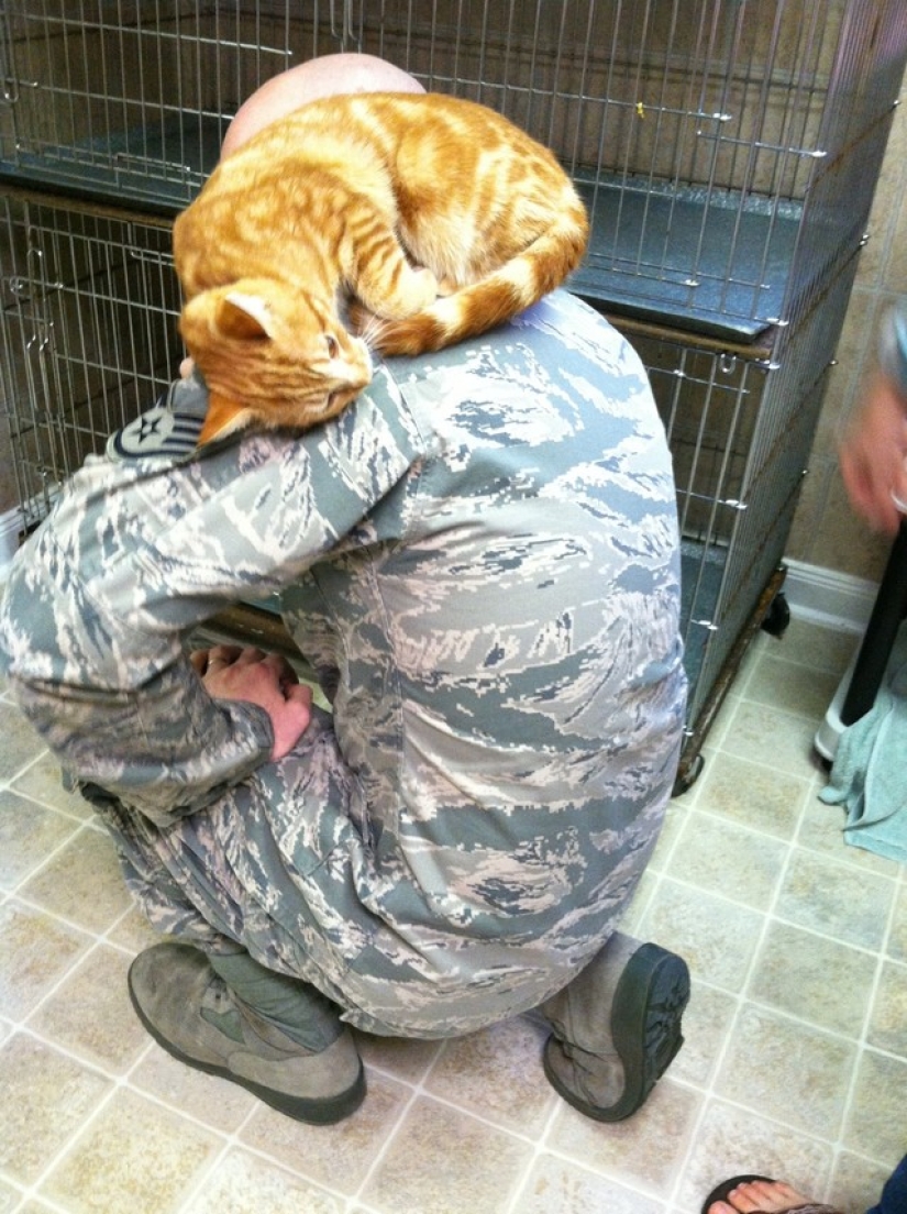 15 soldiers with their ... cats