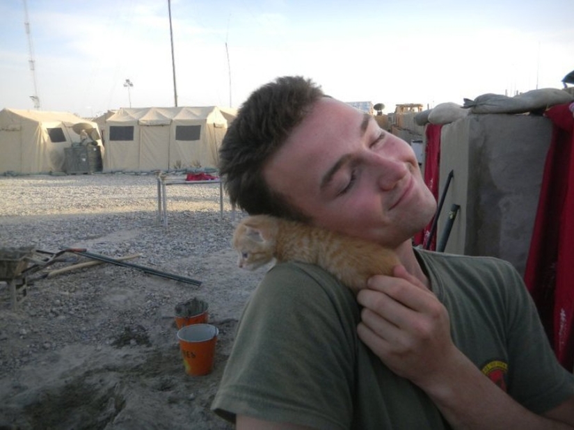15 soldiers with their ... cats