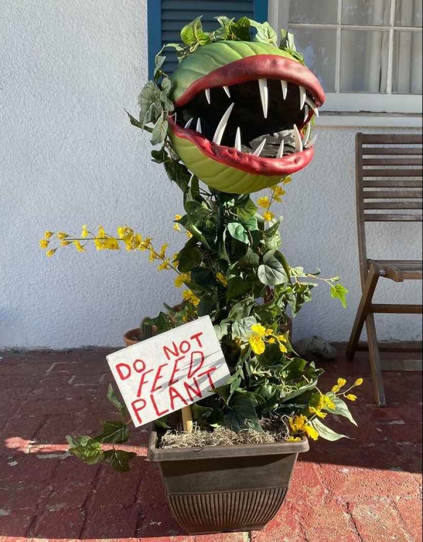 15 Times People Decorated Their Houses For Halloween And Left Everyone Speechless
