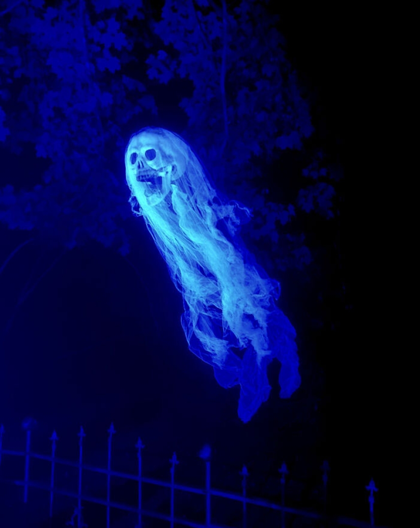 15 Times People Decorated Their Houses For Halloween And Left Everyone Speechless