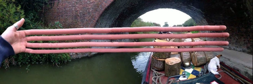 15 Times People Ruined A Perfectly Good Panoramic Shot (Part2) 15 Times People Ruined A Perfectly Good Panoramic Shot (Part2)