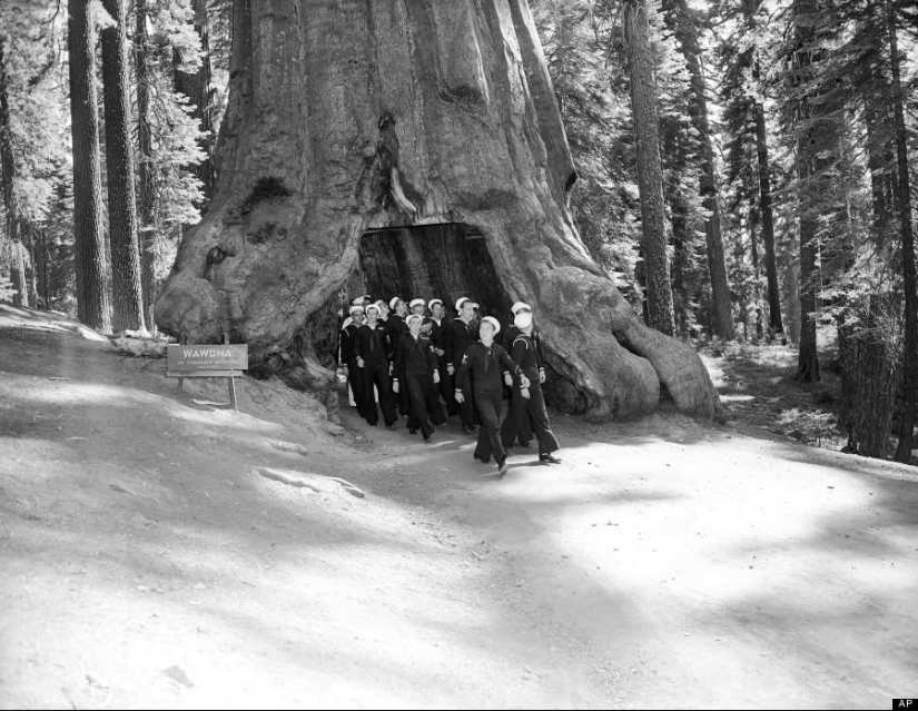 150 years of Yosemite: the history of the national park in 15 photos and one timelapse