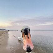 16 Of The Best Entries Into The Comedy Wildlife Photography Awards (2023 Edition)