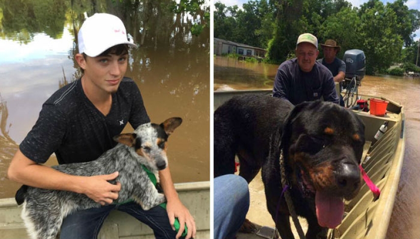 16 people who have returned faith in goodness this year 16 people who have returned faith in goodness this year